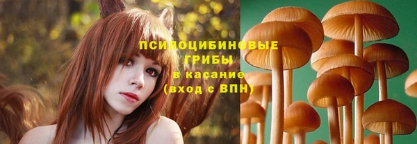 spice Богданович