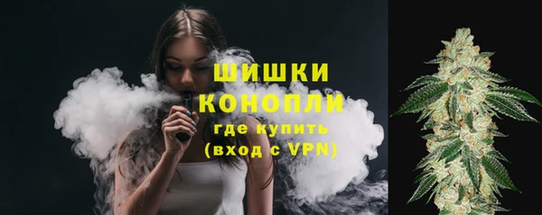 spice Богданович