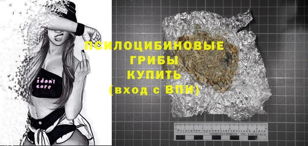 spice Богданович