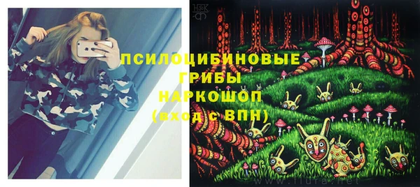 хмурый Богородск