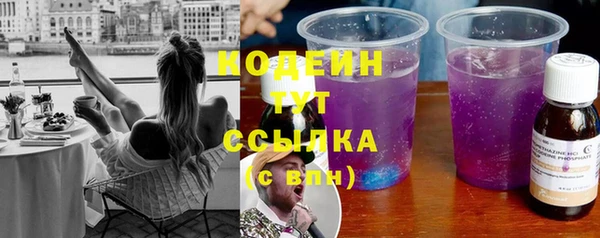 spice Богданович