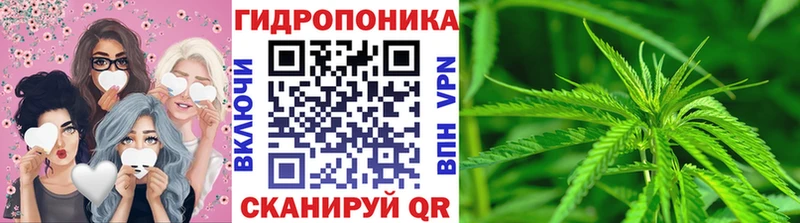 Бошки Шишки семена  как найти закладки  Березники 